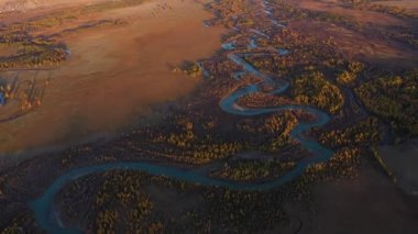 Kurai Steppe, Chuya Nehri, Sarı Karaçam ve Dağlar. Altai Dağları, Rusya