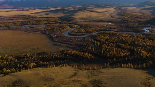 秋には空井ステップ、中屋川、山。ロシアのアルタイ — ストック動画