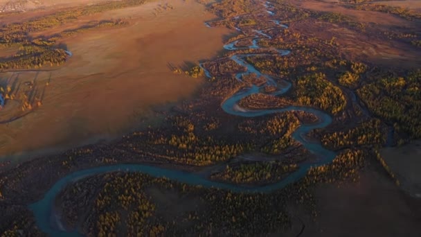 Steppe Kurai, Fluss Chuya, Gelbe Lärchen und Berge. Altai-Gebirge — Stockvideo