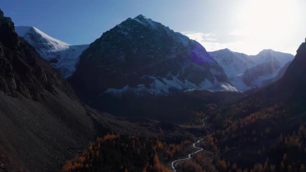 Monte Karatash y arcos amarillos en el valle de Aktru en otoño. Altai, Rusia — Vídeos de Stock