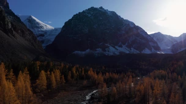 Mount Karatash and Yellow Larches in Aktru Valley in Autumn. Altai, Russia — Stock Footage Mount Karatash and Yellow Larches in Aktru Valley in Autumn. Altai, Russia Video Clip