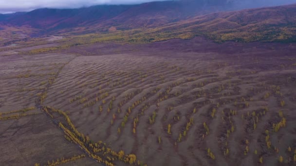 Flujo de Onda Gigante en Kurai Steppe. Montañas Altai, Rusia. Vista aérea — Vídeo de stock