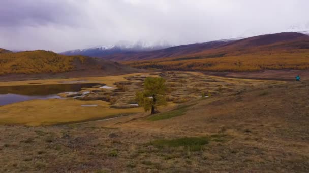Самотнє дерево, озеро і гори. Eshtykel Plateau Гори Алтай (Росія). — стокове відео