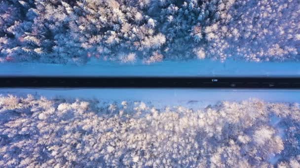 El coche va por el camino recto en invierno. Vista aérea de arriba hacia abajo — Vídeo de stock