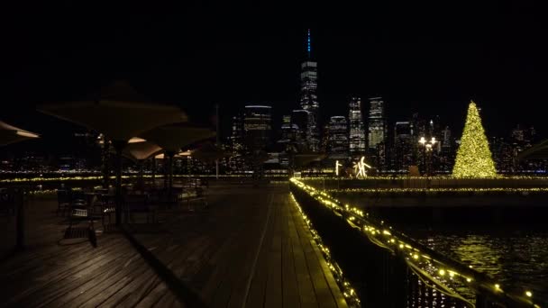Manhattan Uitzicht vanaf J Owen Grundy Park in Jersey City tijdens de winternacht — Stockvideo