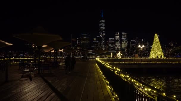 ニューヨーク市、米国- 2021年1月24日:冬の夜にジャージーシティのJ・オーウェン・グランディ・パークからのマンハッタンビュー — ストック動画