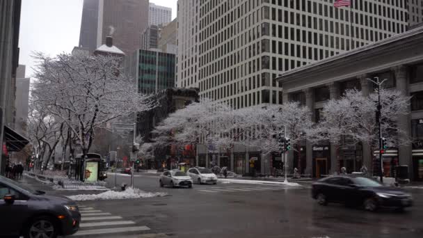 CHICAGO, USA - STYCZEŃ 25, 2021: Ruch samochodów w Chicago Magnificent Mile zimą w pochmurny zimowy dzień — Wideo stockowe