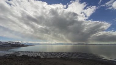 Antilop Adası Eyalet Parkı. Utah, ABD