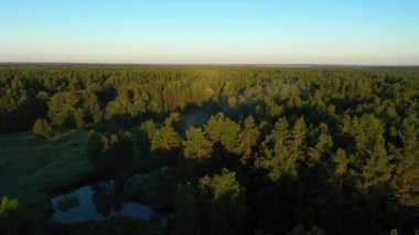 Sabah Orman ve Nehir. Hava Görünümü