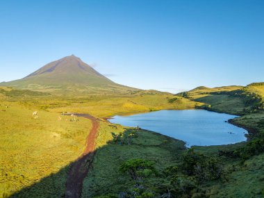 Pico Dağı, Azores Juniper Ağacı ve Göl Gölü Güneşli Sabahta Capitao yapar. Pico Adası, Azores. Portekiz. Hava Görünümü
