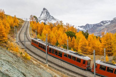 Gornergrat İşçi Demiryolu Kızıl Treni, Matterhorn Dağı ve Sonbaharda Sarı Altın Karaça. Sonbahar Renkleri. İsviçre Alpleri. Zermatt, Valais, İsviçre