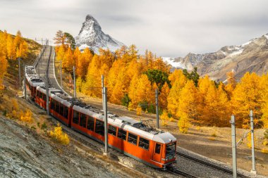 Gornergrat Demiryolu Treni, Matterhorn Dağı ve Sonbaharda Sarı Altın Tarlalar. Sonbahar Renkleri. İsviçre Alpleri. Zermatt, Valais, İsviçre