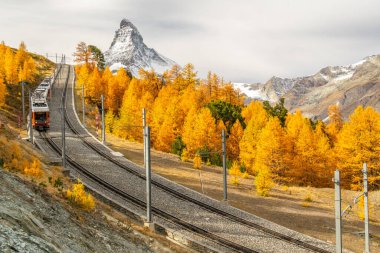 Gornergrat Rack Demiryolu Treni, Matterhorn Dağı ve Sonbaharda Sarı Altın Karaça. Sonbahar Renkleri. İsviçre Alpleri. Zermatt, Valais, İsviçre