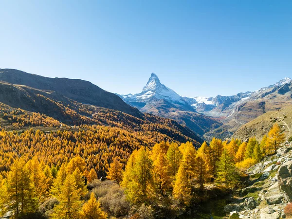 Matterhorn Dağı ve Sonbaharda Güneşli Gün 'de Sarı Karavanlar. Sonbahar Renkleri. İsviçre Alpleri. Hava görüntüsü. Zermatt, Valais, İsviçre
