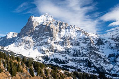 Güneşli kış gününde Wetterhorn Dağı. Ağaç yamacı ve İsviçre Alpleri. İsviçre