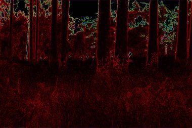 metin için alanı olan grunge arkaplanı