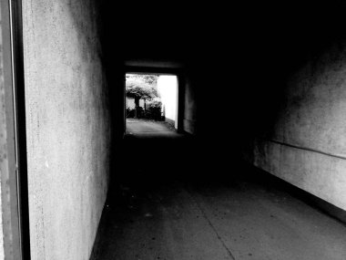 bir köprünün siyah beyaz fotoğrafı