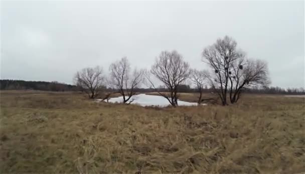 Flygande över frusen sjö. — Stockvideo