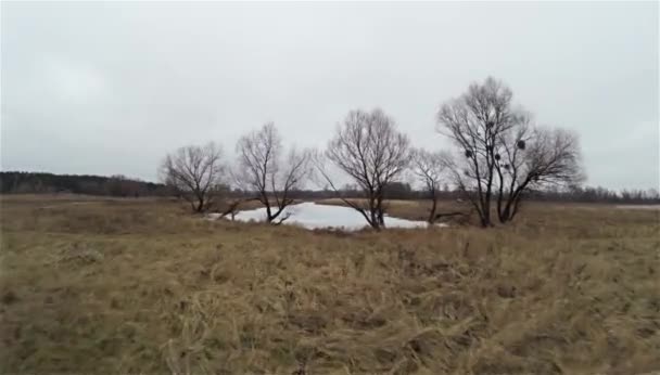 Terbang di atas danau beku . — Stok Video