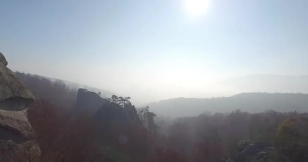 Volando sobre el bosque en las montañas — Vídeo de stock