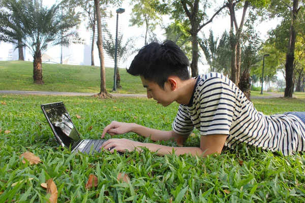 Joven trabajando en el parque — Foto de Stock