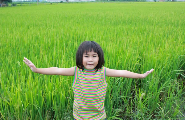 Jovem de pé no campo de arroz — Fotografia de Stock