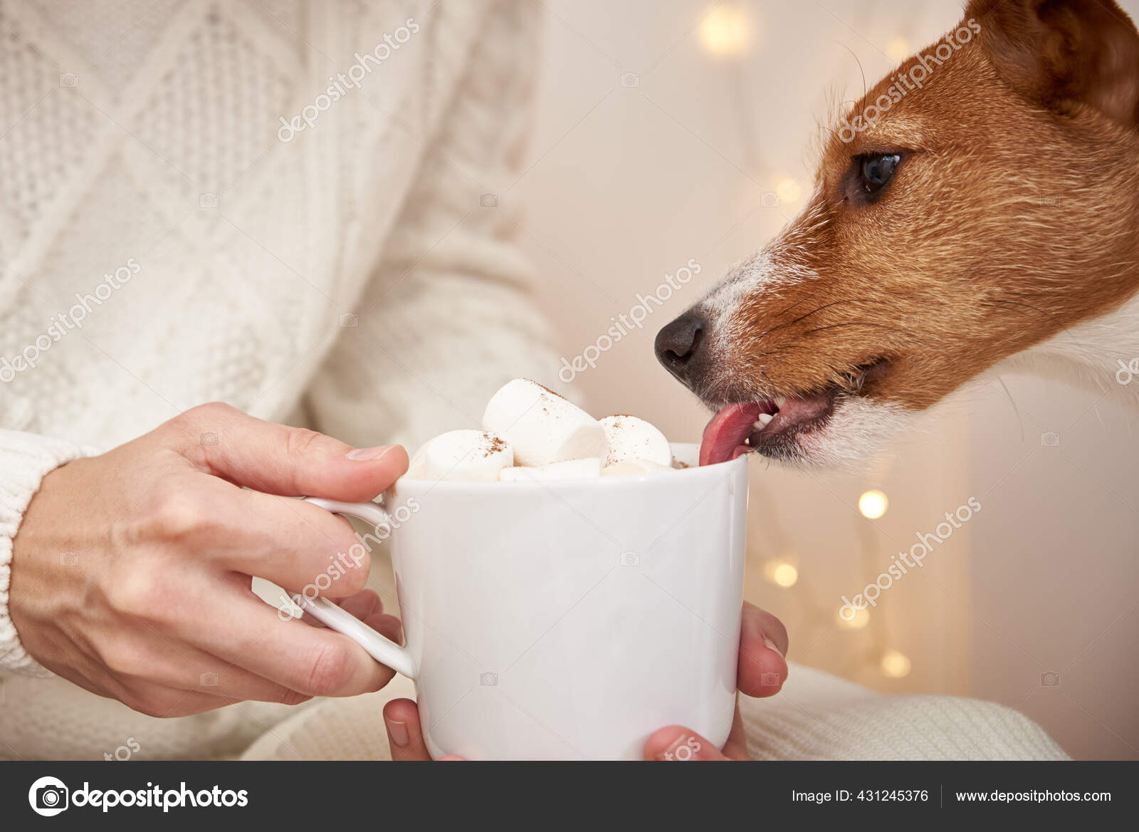 Are Marshmallows Good For Dogs