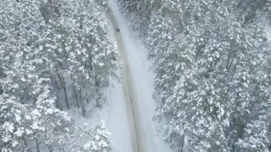 Kış ormanı boyunca kar üzerinde giden araba, hava manzarası
