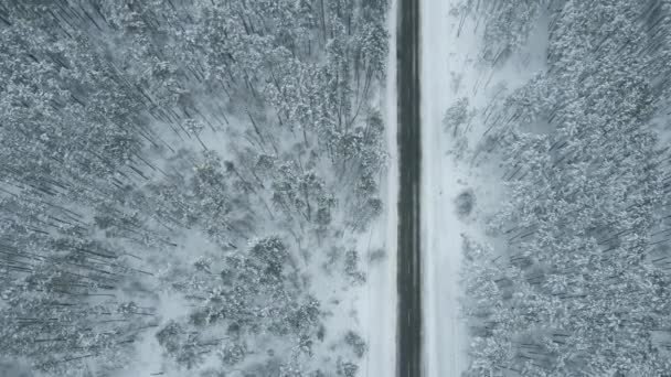 Snow Road Winter Forest Aerial View — Stock Video