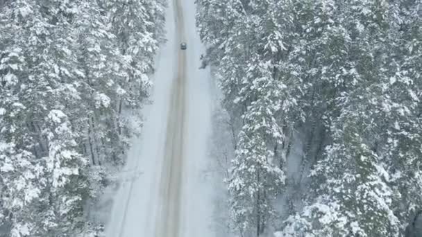 Auto fährt auf verschneiter Straße durch Winterwald, Luftaufnahme — Stockvideo