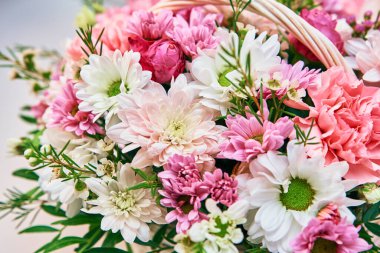 Taze yaz çiçekleri, yakın plan.