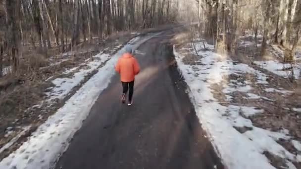 Человек, бегущий в лесу зимой. Зимняя пробежка — стоковое видео