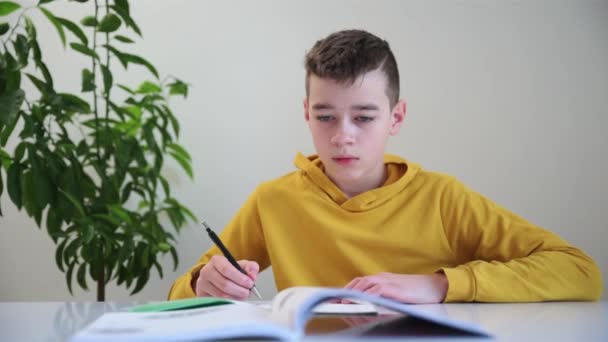 Een jongen die huiswerk schrijft. Schooljongen maakt aantekeningen in notitieboekje thuis — Stockvideo