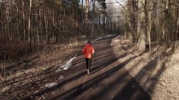 Człowiek biegający w lesie zimą. Biegi zimowe — Wideo stockowe