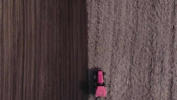 Trator arados chão no campo de fazenda cultivada — Vídeo de Stock