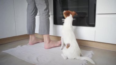 Mutfakta köpeği olan bir kadın.