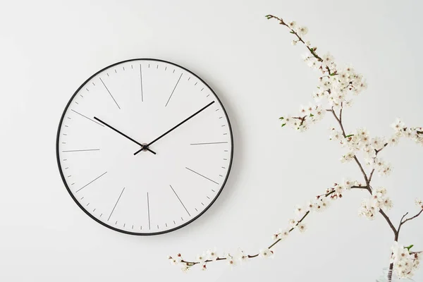 Front View Desk Wall Clock Plant Branch White Background Minimal — Stock Photo, Image