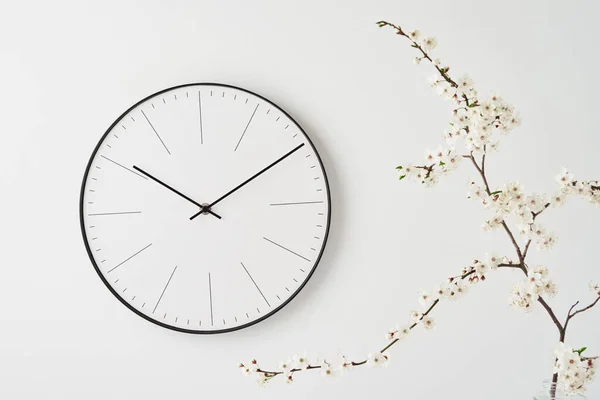 Настенные часы и ветвь растений на белом фоне — стоковое фото