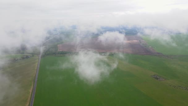 Luftaufnahme der Sommerlandschaft mit Wolken — Stockvideo