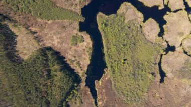 Nehir taşkını ovası, yeşil orman, hava manzarası.
