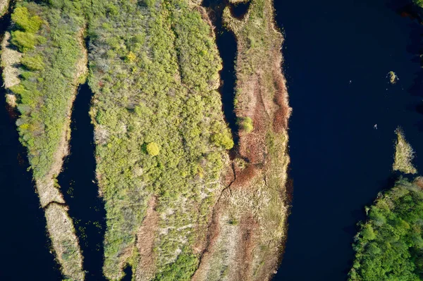 Fiume pianura alluvionale paesaggio e foresta verde, vista aerea — Foto Stock