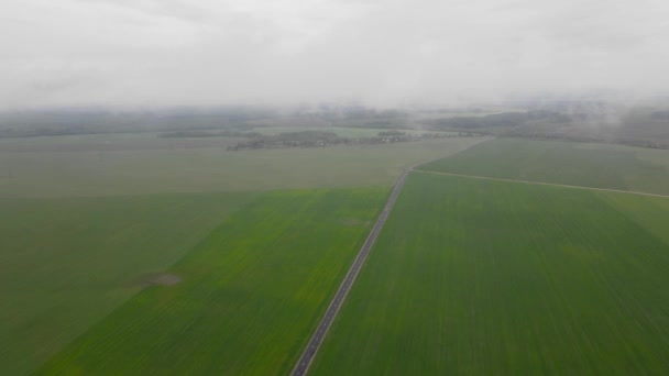 Αεροφωτογραφία του καλοκαιρινού τοπίου με σύννεφα — Αρχείο Βίντεο