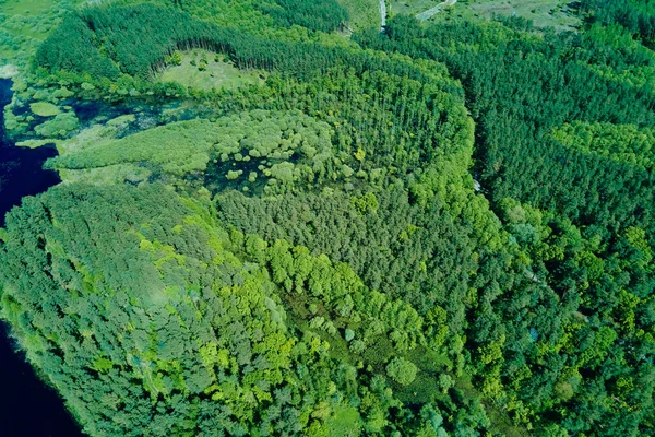 Verde sfondo foresta estiva, vista aerea. Paesaggio naturale — Foto Stock