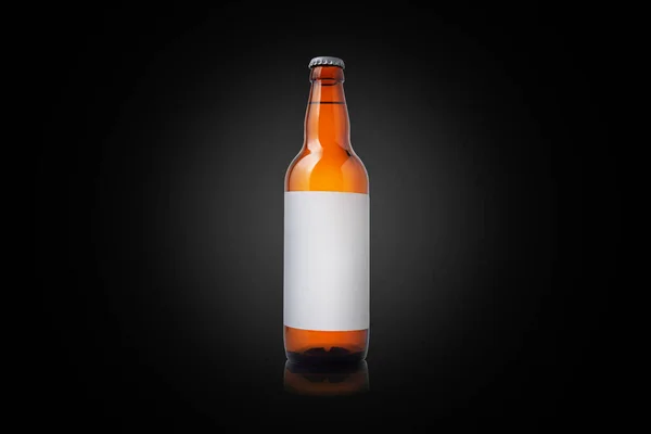 Botella de cerveza aislada — Foto de Stock