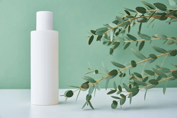 stock image Natural cosmetic cream bottle on green background with plant