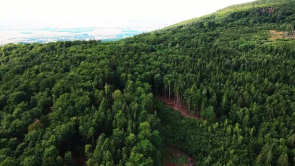 Luftaufnahme des Sleza-Gebirges in der Nähe von Breslau in Polen. Hintergrund Natur — Stockvideo