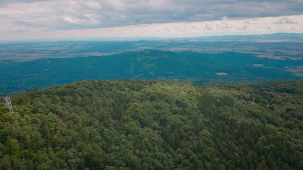 Vista aerea di montagna con foresta. Drone video — Video Stock