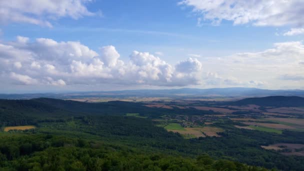 Flygfoto över berg med skog. Drönarvideo — Stockvideo