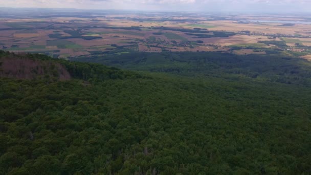 Vista aérea de montaña con bosque. Drone video — Vídeo de stock