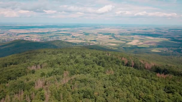 Letecký pohled na horu s lesem. Video Drone — Stock video